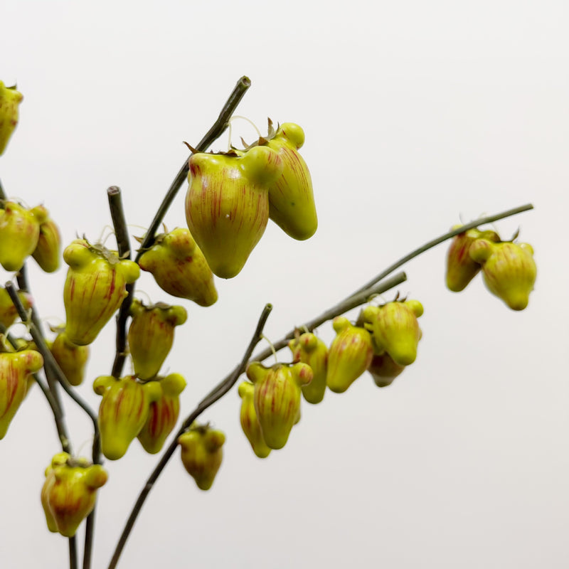 Artificial Golden Fruit Bush with 10 Fruits, Faux Fruit Branch Pick, Plastic & Foam, for Vase Arrangements & Home Decor
