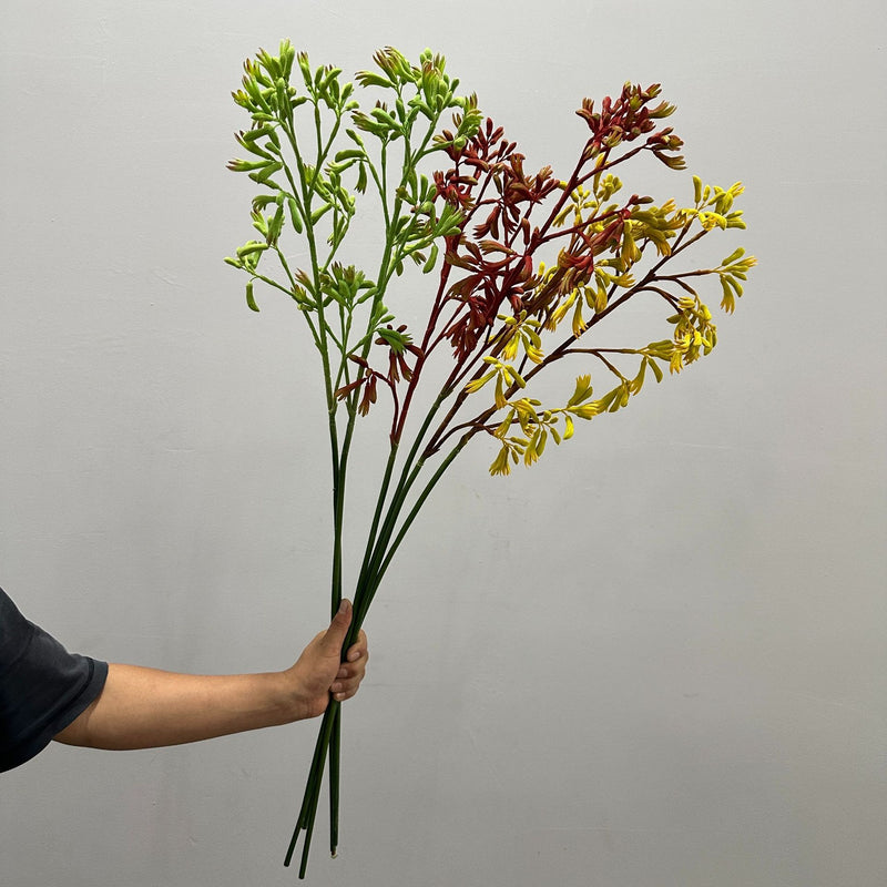 Artificial Kangaroo Paw Bush, Faux Greenery Stem for Vase, Nordic Home Decor, Wedding & Event Floral Arrangements