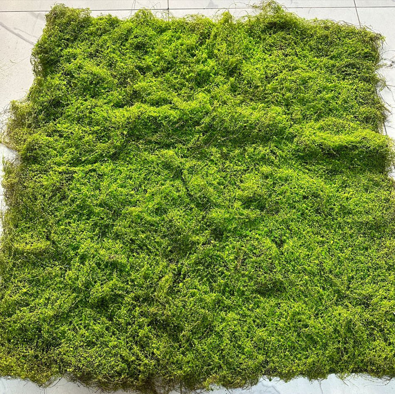 Artificial Moss Grass Mat, 39"x39" Faux Moss Patch for Indoor Decor, Wedding Backdrops, and Commercial Displays