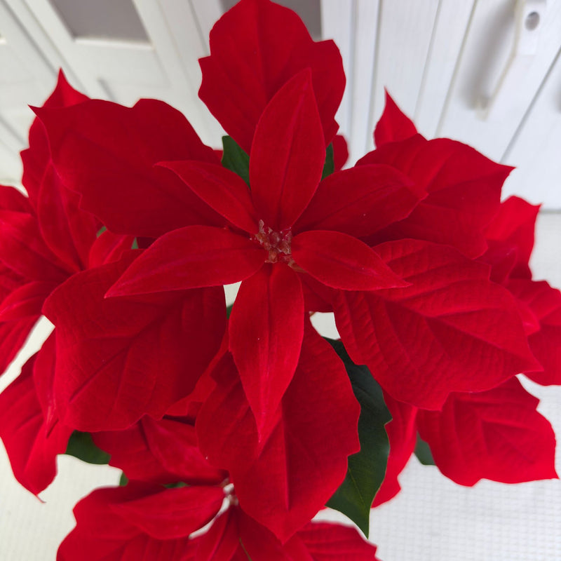 2Pcs Artificial Poinsettias with Pots Christmas Flowers