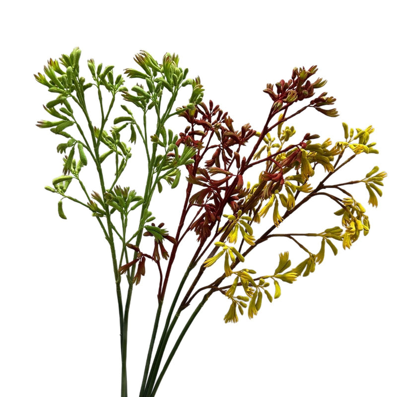 Artificial Kangaroo Paw Bush, Faux Greenery Stem for Vase, Nordic Home Decor, Wedding & Event Floral Arrangements
