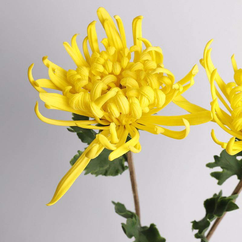 Artificial Chrysanthemum Single Stem, Realistic PU Flower for Home Decor, Weddings & Events, 28" Tall with 8" Bloom