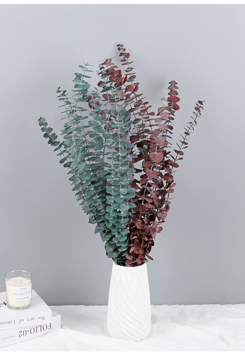 Bulk 10 Pcs Preserved Dried Eucalyptus Stems Wholesale