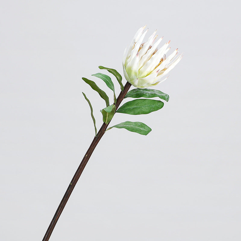 Single Stem Faux Protea Flower, 22" Tall, Plastic, for Home Decor, Weddings, and Events