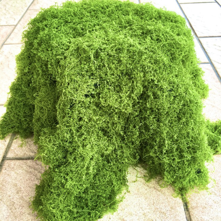 Artificial Moss Grass Mat, 39"x39" Faux Moss Patch for Indoor Decor, Wedding Backdrops, and Commercial Displays