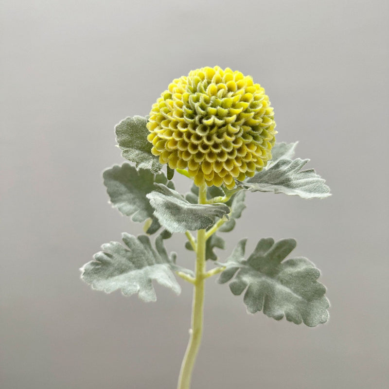 Artificial Chrysanthemum Pompon Single Stem, 14.5" Fluffy Faux Flower for Wedding Centerpieces, Home Decor, Office & Events