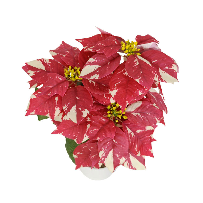 Artificial Poinsettia Bush with 9" Snowflake-Patterned Blooms, 20" Tall, Bendable Stems for Christmas & Holiday Decor