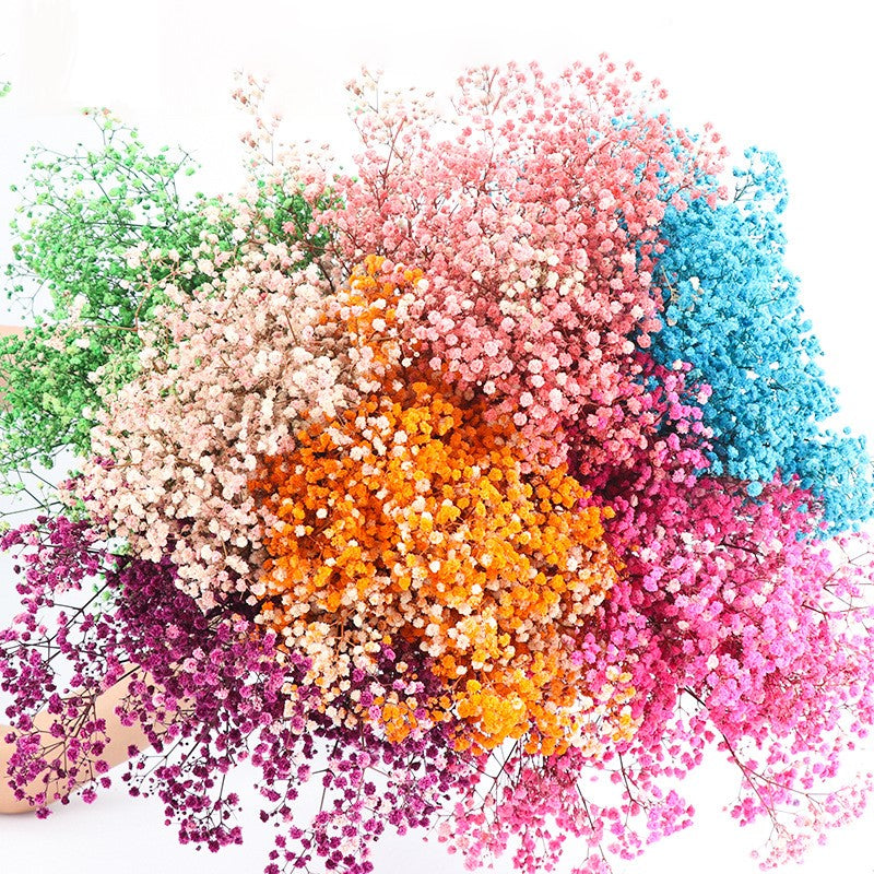 Lot de 1 bouquet de fleurs de gypsophile séchées pour mariage, arrangement floral, décoration de fête à domicile, vente en gros