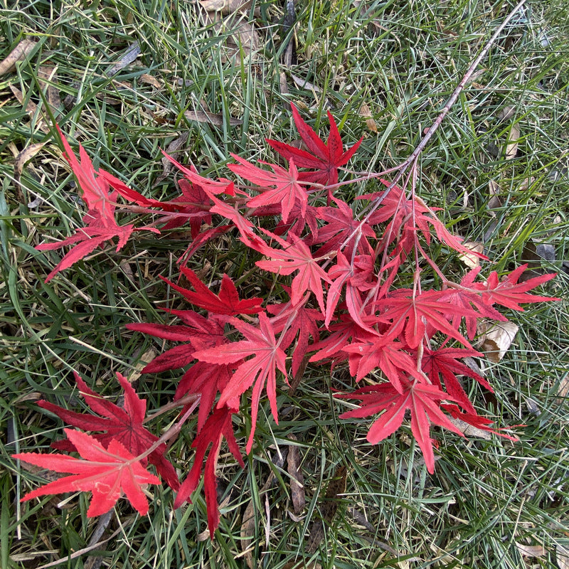 Artificial Maple Leaf Branch, Single Stem with 38 Realistic Foliage, 39" Tall for Wedding Centerpieces & Home Decor, Silk-Like Fabric