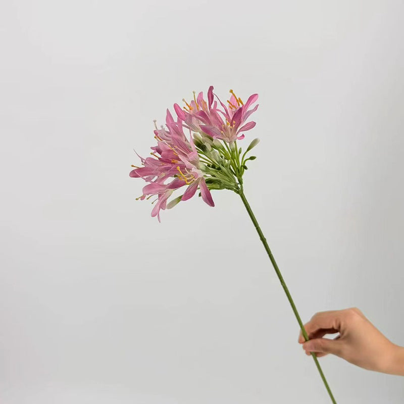 Single Stem Artificial Agapanthus Flower, 24" Tall Realistic Fake Flower for Wedding Decor, Home Styling, and Floral Arrangements
