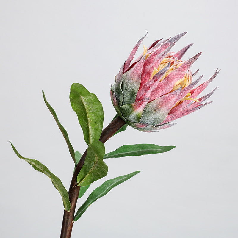 Single Stem Faux Protea Flower, 22" Tall, Plastic, for Home Decor, Weddings, and Events