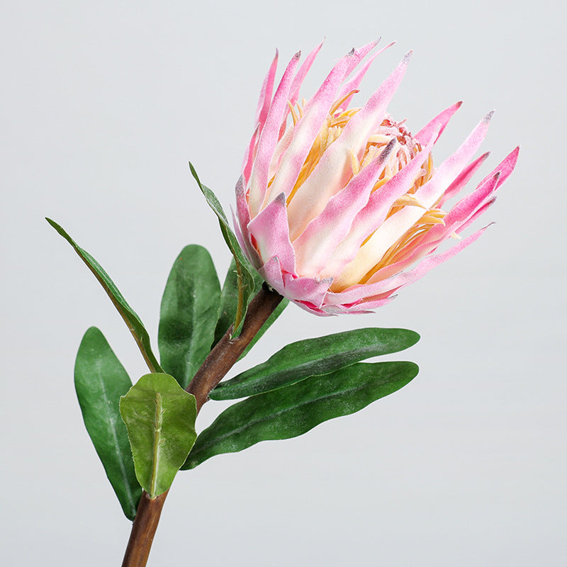 Single Stem Faux Protea Flower, 22" Tall, Plastic, for Home Decor, Weddings, and Events