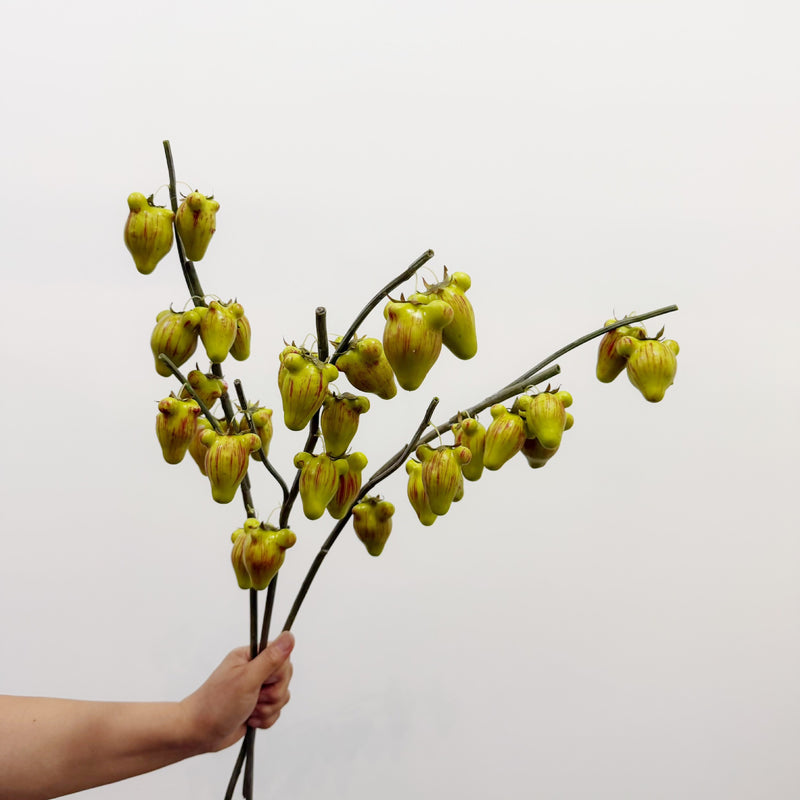 Artificial Golden Fruit Bush with 10 Fruits, Faux Fruit Branch Pick, Plastic & Foam, for Vase Arrangements & Home Decor