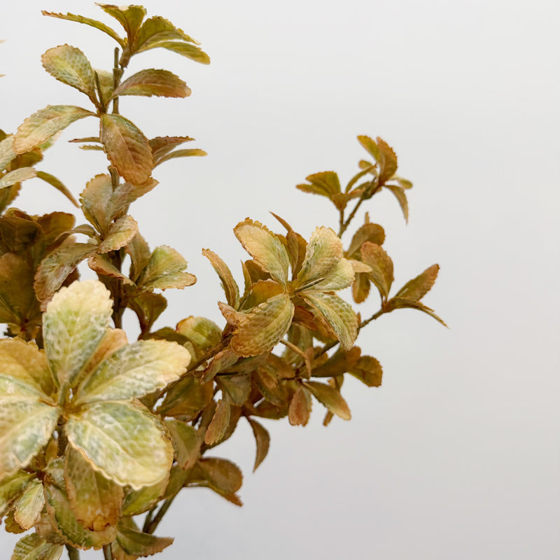 Artificial Eucalyptus-Style Leaf Bush, Autumn Tone Faux Greenery Pick, Plastic Filler Foliage for Wedding, Vase and Home Decor