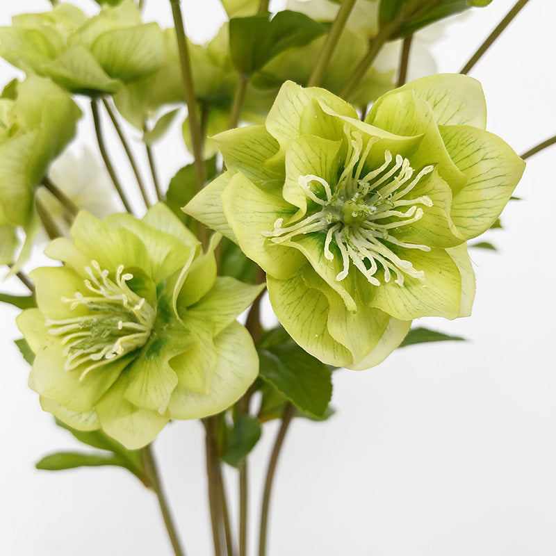 Bulk 23" AM Basics Helleborus Spray Branches Artificial Silk Flowers Wholesale