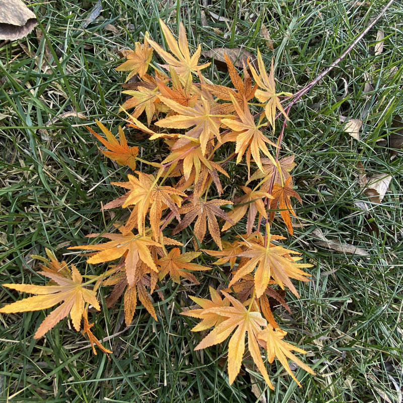 Artificial Maple Leaf Branch, Single Stem with 38 Realistic Foliage, 39" Tall for Wedding Centerpieces & Home Decor, Silk-Like Fabric