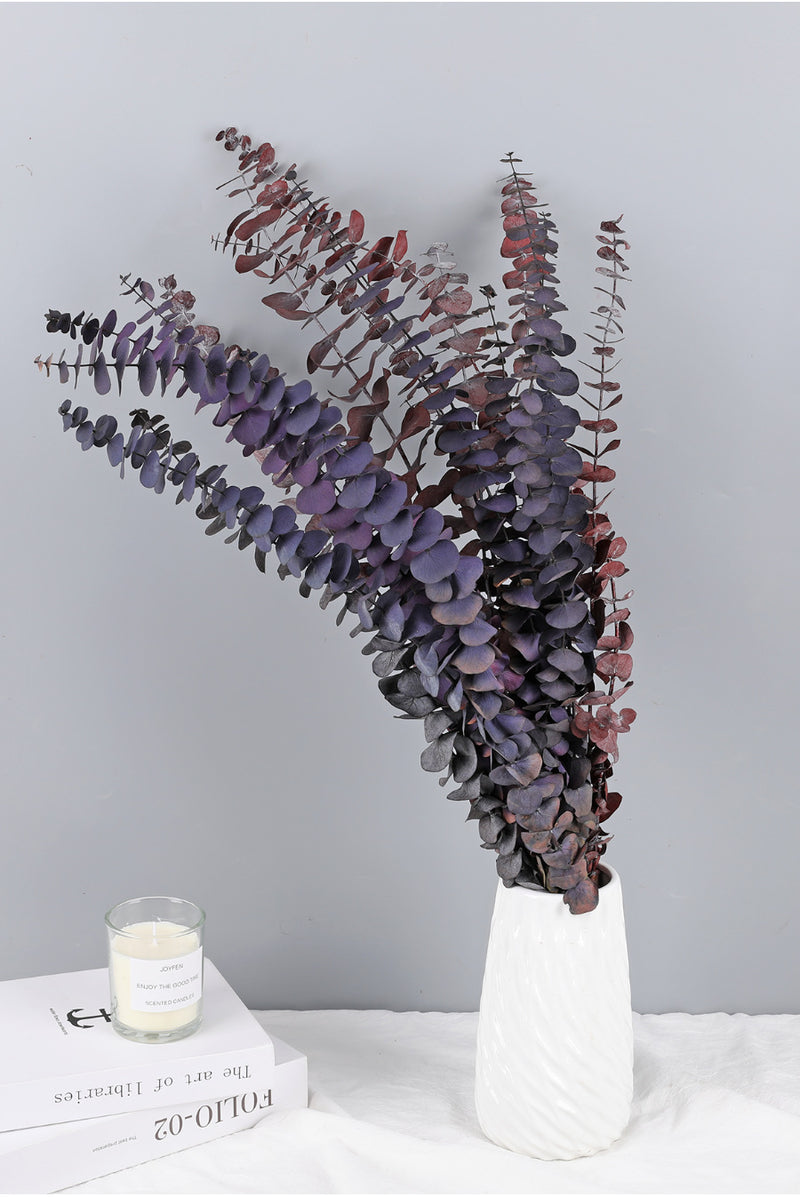Bulk 10 Pcs Preserved Dried Eucalyptus Stems Wholesale