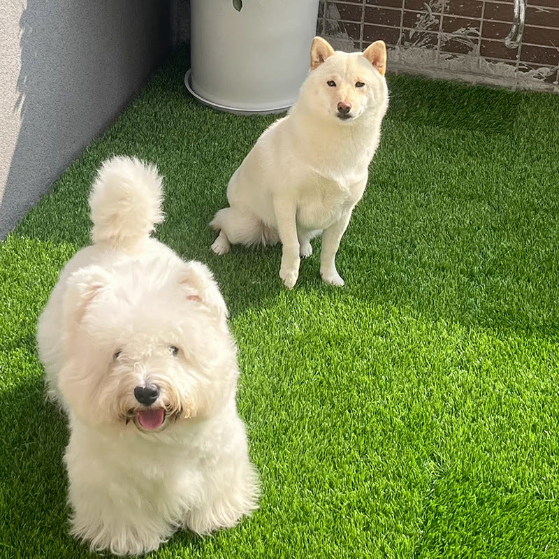 Artificial Grass Mat Set of 2, Interlocking Fake Grass Turf Tiles for Dog Potty Area, Patio & Backyard