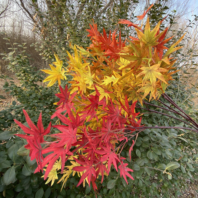 Artificial Maple Leaf Branch, Single Stem with 38 Realistic Foliage, 39" Tall for Wedding Centerpieces & Home Decor, Silk-Like Fabric