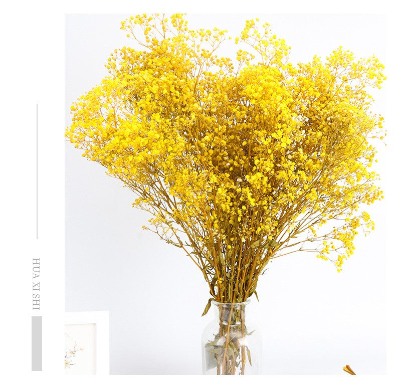 Lot de 1 bouquet de fleurs de gypsophile séchées pour mariage, arrangement floral, décoration de fête à domicile, vente en gros