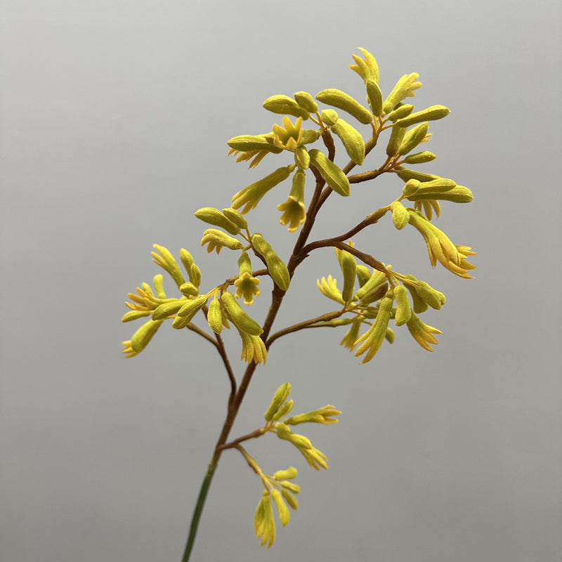 Artificial Kangaroo Paw Bush, Faux Greenery Stem for Vase, Nordic Home Decor, Wedding & Event Floral Arrangements