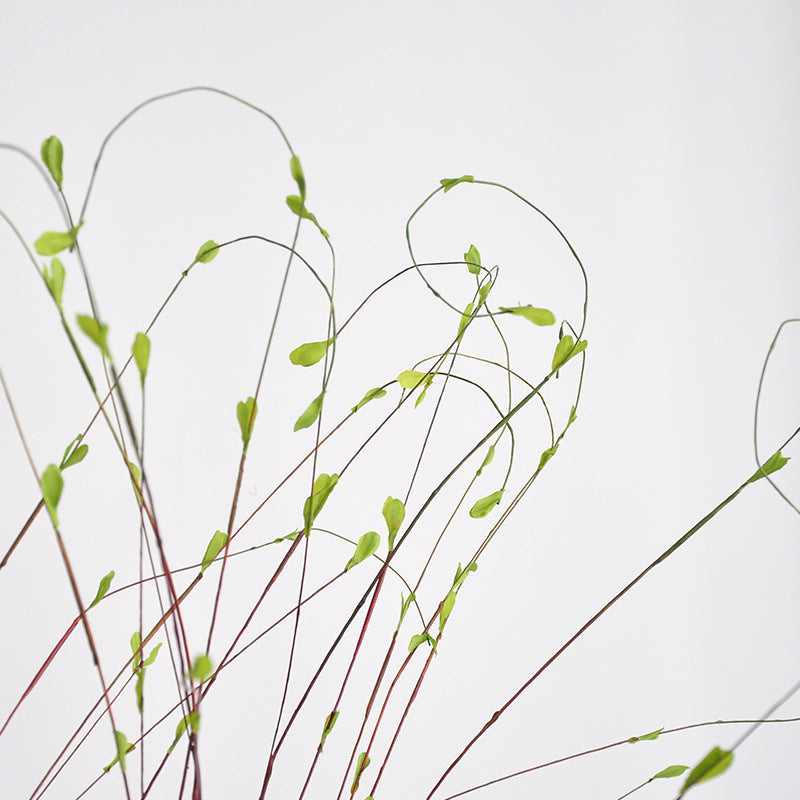 Artificial Pussy Willow Branch, Single Stem Faux Dragon Willow Bud Stem with 12 Branches, Bendable Vase Filler for Wedding & Home Decor