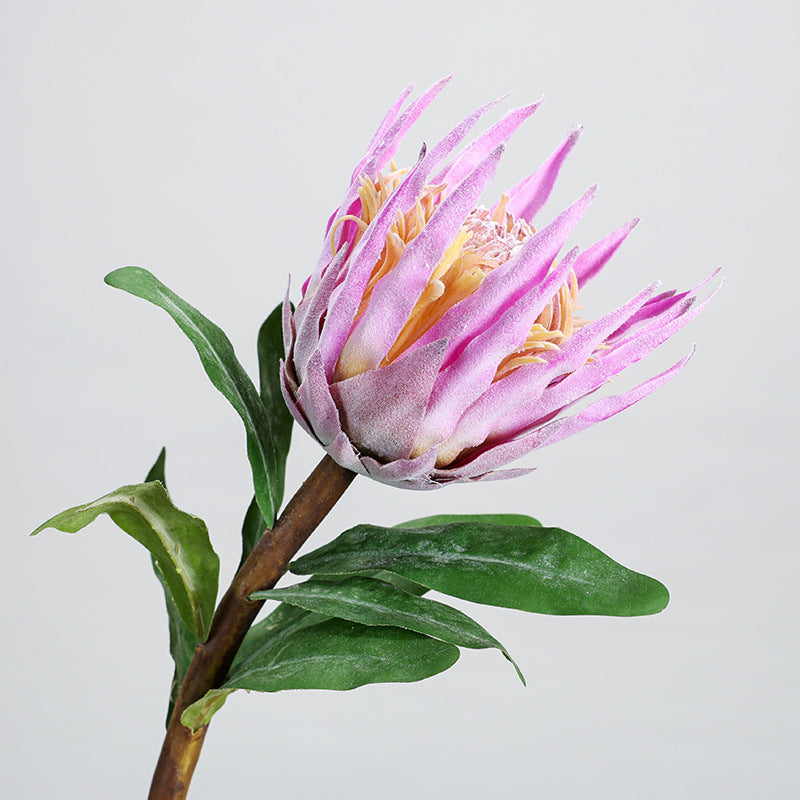 Single Stem Faux Protea Flower, 22" Tall, Plastic, for Home Decor, Weddings, and Events