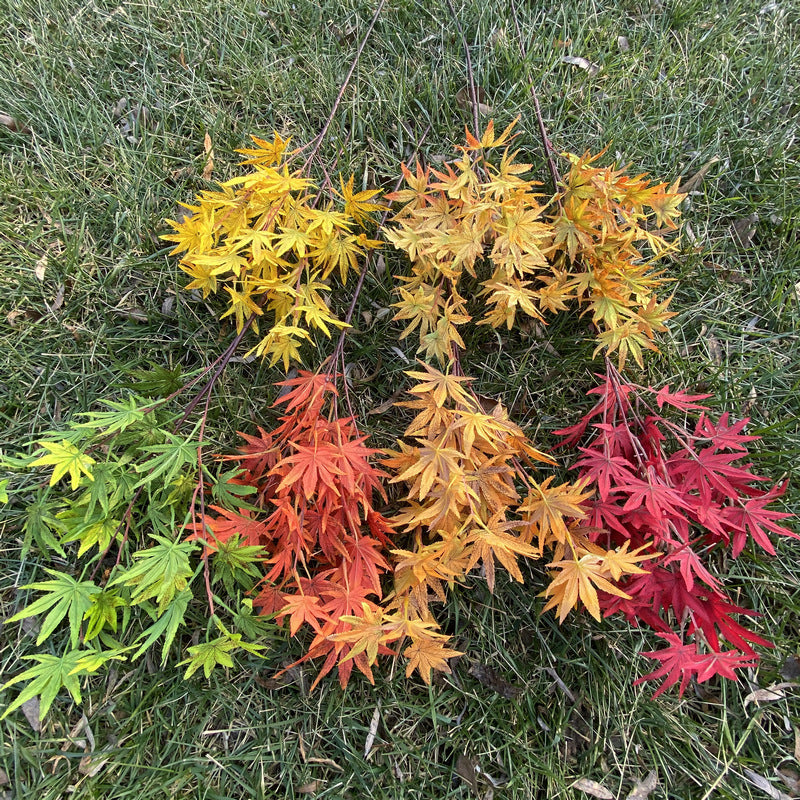 Artificial Maple Leaf Branch, Single Stem with 38 Realistic Foliage, 39" Tall for Wedding Centerpieces & Home Decor, Silk-Like Fabric