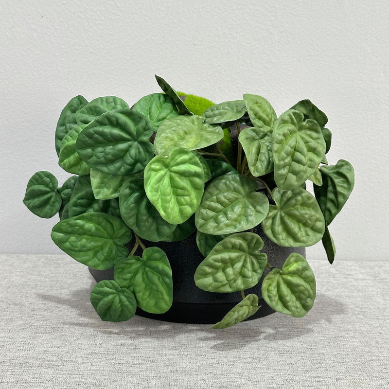 Artificial Wrinkled Peperomia Leaf Bush, Faux Greenery Plant Stem for Vases, Wedding Decor, Home & Office, Indoor/Outdoor