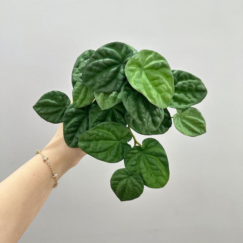 Artificial Wrinkled Peperomia Leaf Bush, Faux Greenery Plant Stem for Vases, Wedding Decor, Home & Office, Indoor/Outdoor
