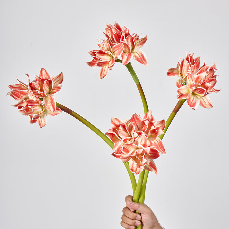 Artificial Clivia Amaryllis Bush with 3 Blooms, 22" Tall Realistic Faux Flowers for Wedding Centerpieces, Home Decor & Commercial Displays