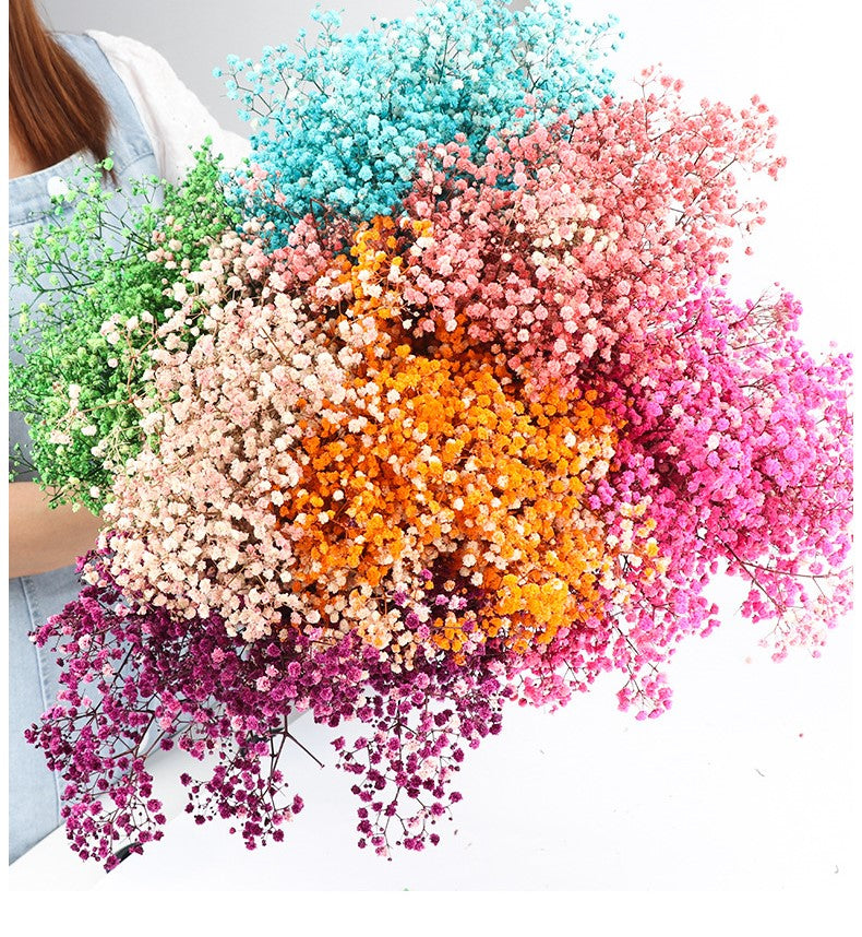 Lot de 1 bouquet de fleurs de gypsophile séchées pour mariage, arrangement floral, décoration de fête à domicile, vente en gros