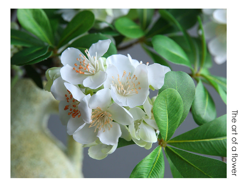 Artificial Pittosporum Flower Stem, 31" Silk Single Stem with 15 Blooms, Modern Home Decor, Wedding & Event Styling, Indoor Use, White or Purple