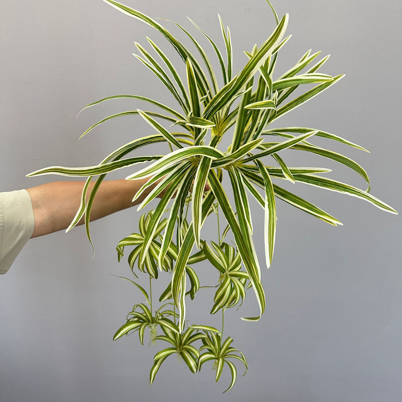 Artificial Trailing Spider Plant Vine, 26" Long Bendable Stem with 40 Leaves, Realistic Faux Hanging Plant for Home Decor, Wedding & Events