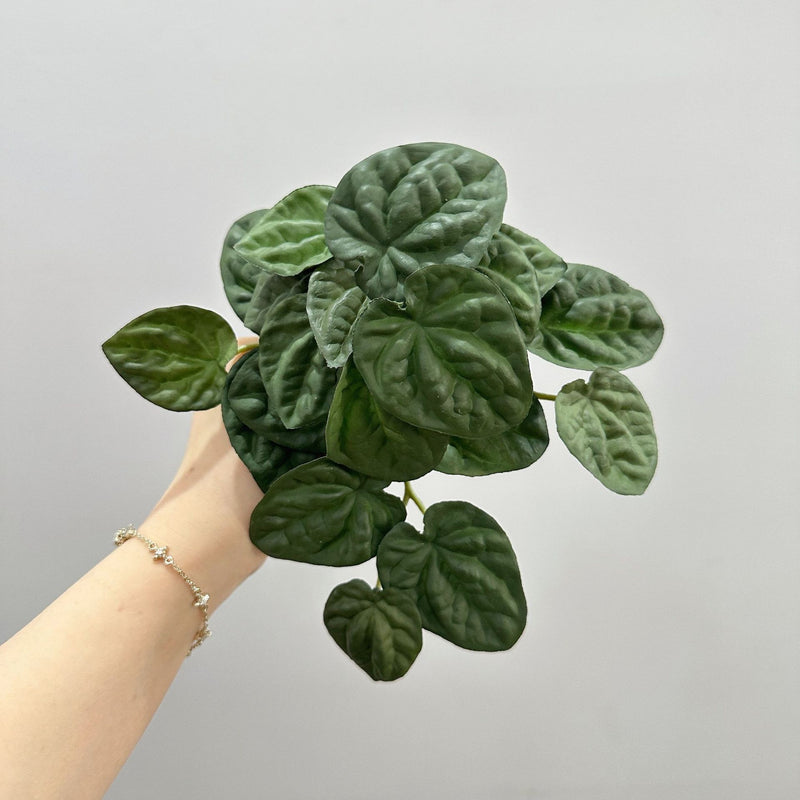 Artificial Wrinkled Peperomia Leaf Bush, Faux Greenery Plant Stem for Vases, Wedding Decor, Home & Office, Indoor/Outdoor