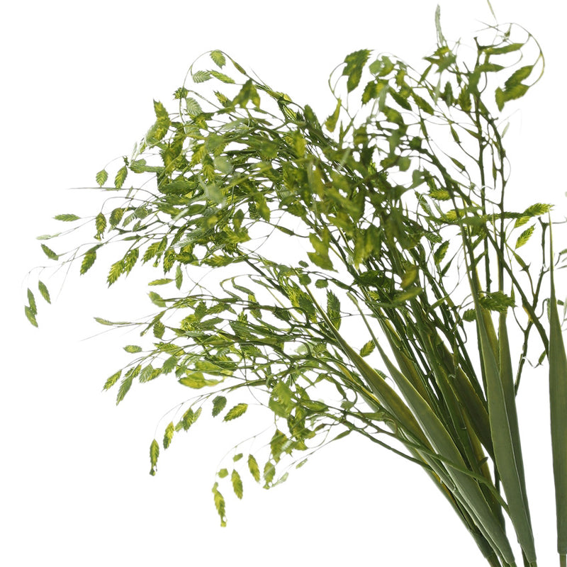 Artificial Cat Grass Stem, 2-Branch Foxtail Grass, 31" Height, Silk-Like Fabric, Indoor Décor, Wedding & Event Styling