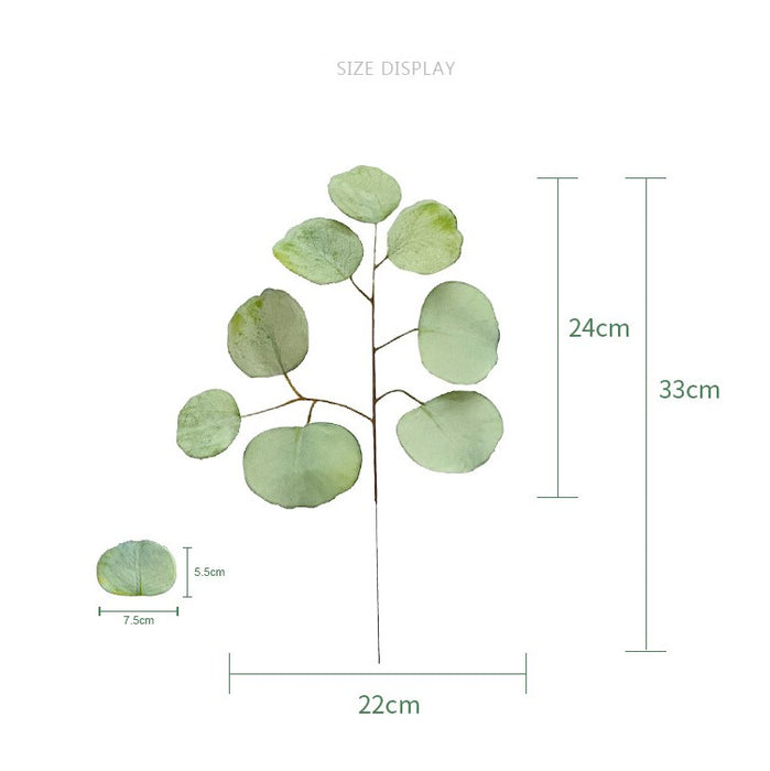 Bulk 13" Eucalyptus Leaves Stems Plant Wholesale