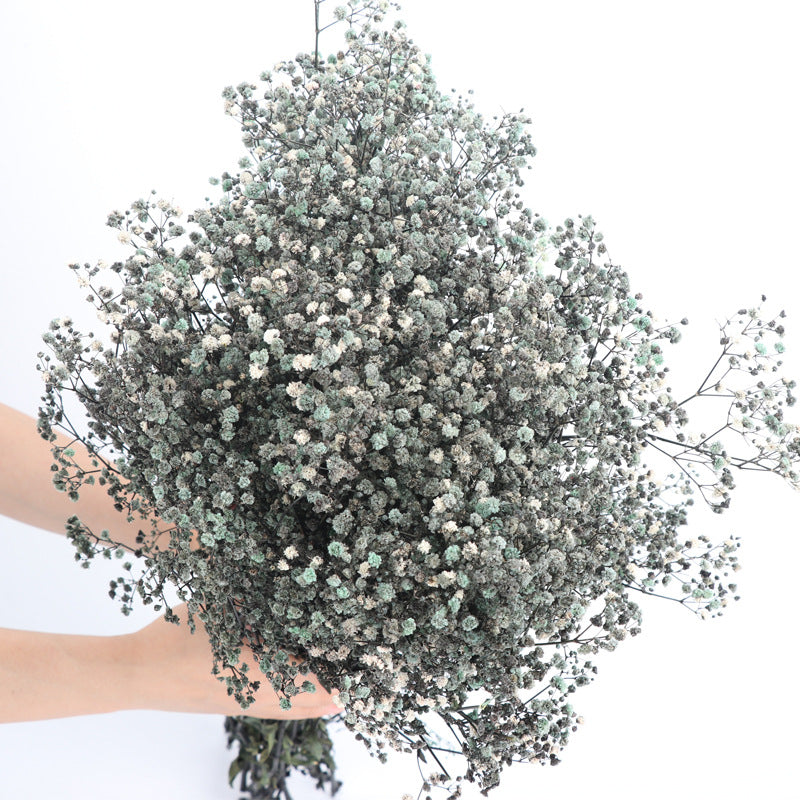 Lot de 1 bouquet de fleurs de gypsophile séchées pour mariage, arrangement floral, décoration de fête à domicile, vente en gros