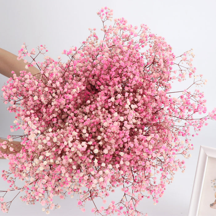 Bulk 1 Bundle Dried Baby's Breath Gypsy Flowers for Wedding Floral Arrangement Home Party Decor Wholesale