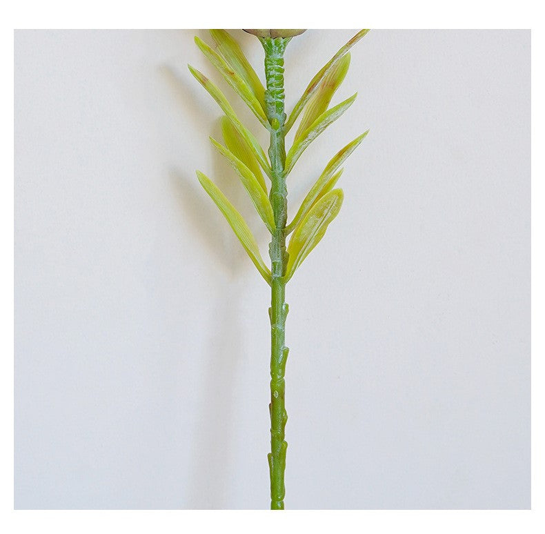 Venta al por mayor de tallo de fruta de alcachofa falsa de 22 pulgadas a granel 