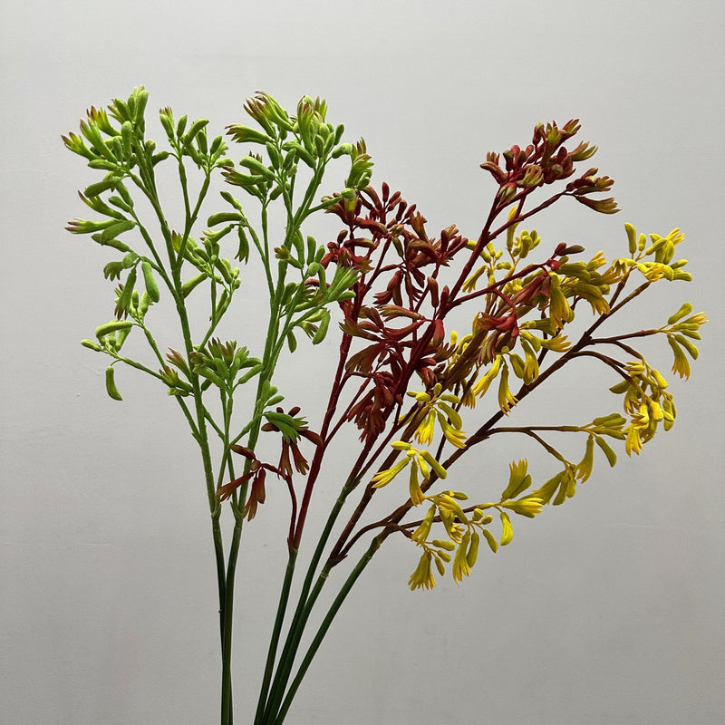 Artificial Kangaroo Paw Bush, Faux Greenery Stem for Vase, Nordic Home Decor, Wedding & Event Floral Arrangements