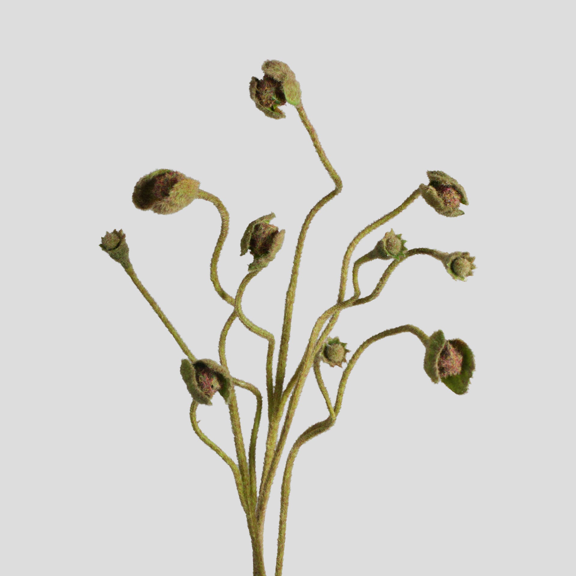 Artificial Poppy Bush with Pods, Faux Silk Fabric Poppy Stem for Vase ...