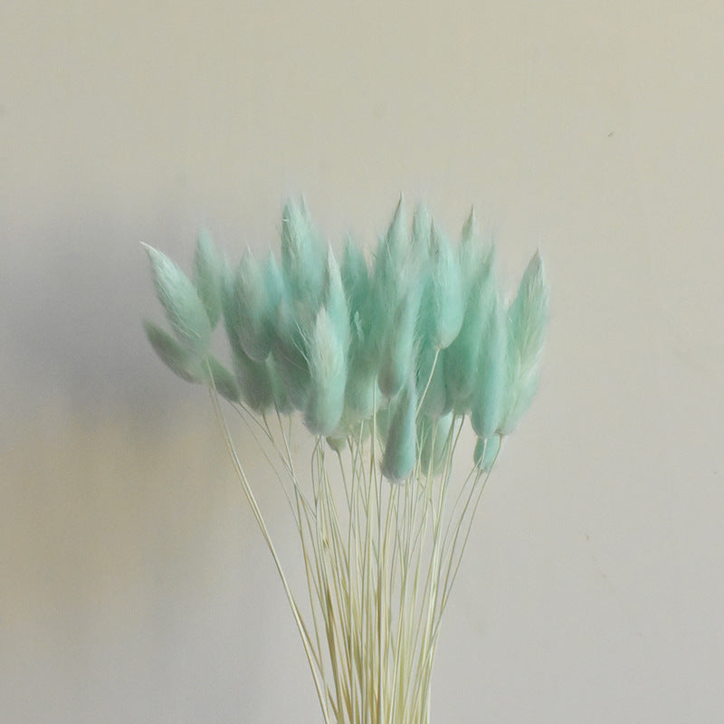 Lot de 50 queues de lapin naturelles séchées pour compositions florales, centres de table de mariage, décorations d'automne pour la maison, style bohème, baby shower, vente en gros