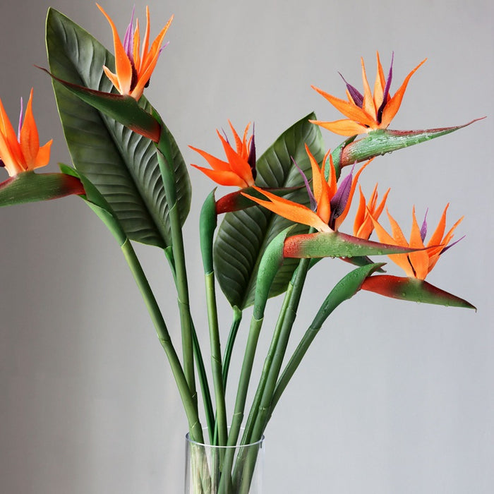 Aves anaranjadas a granel del paraíso Tallo Real Touch Flores artificiales al por mayor 