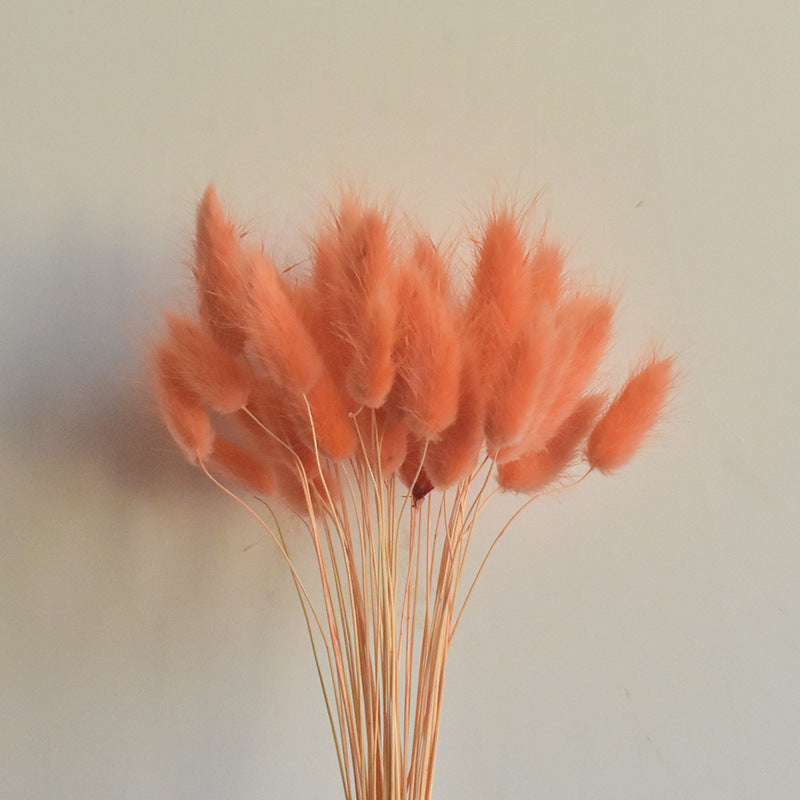 Lot de 50 queues de lapin naturelles séchées pour compositions florales, centres de table de mariage, décorations d'automne pour la maison, style bohème, baby shower, vente en gros