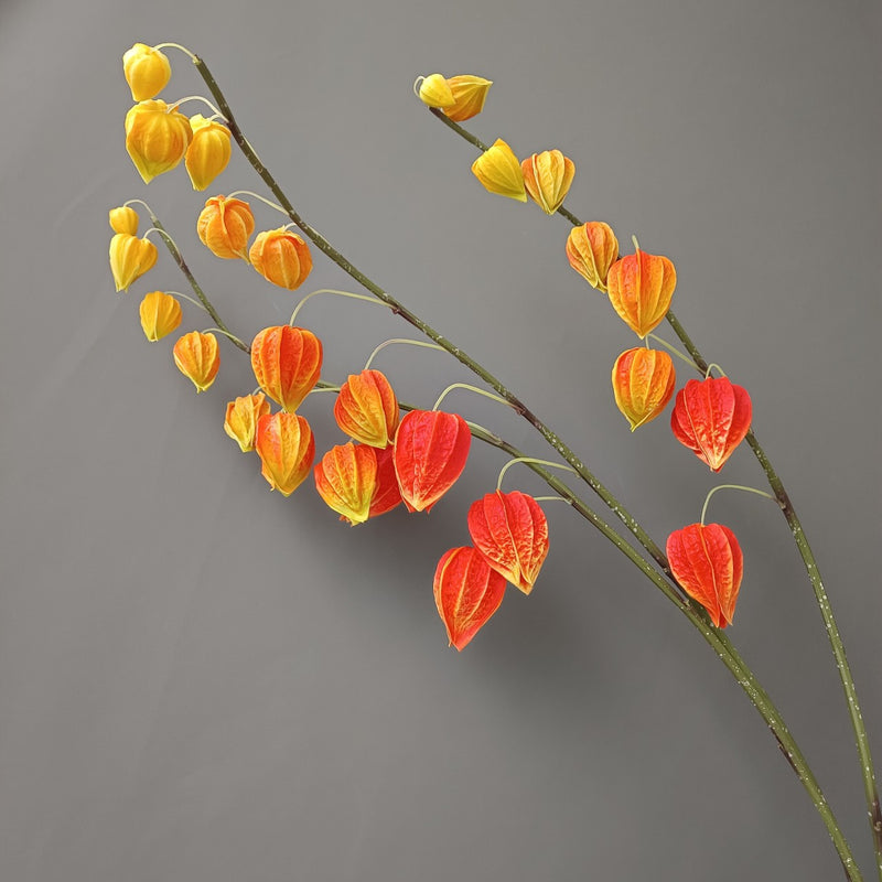 Tiges et branches de groseilles à maquereau extra hautes en vrac de 39 po pour décoration d'automne en gros 