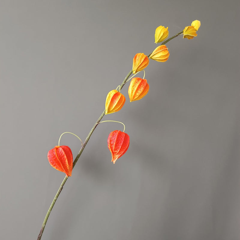 Tiges et branches de groseilles à maquereau extra hautes en vrac de 39 po pour décoration d'automne en gros 