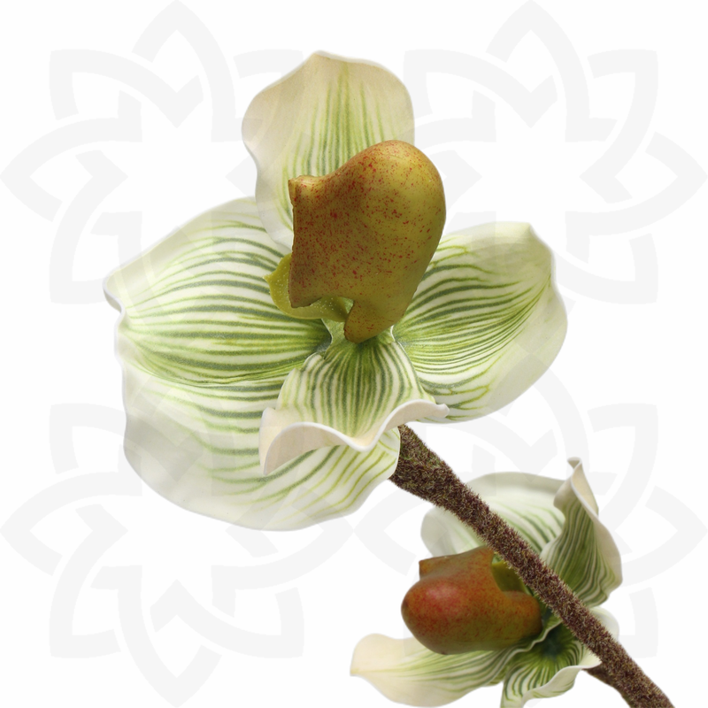 Fleurs artificielles Paphiopedilum Real Touch en vrac de 19 pouces en gros 