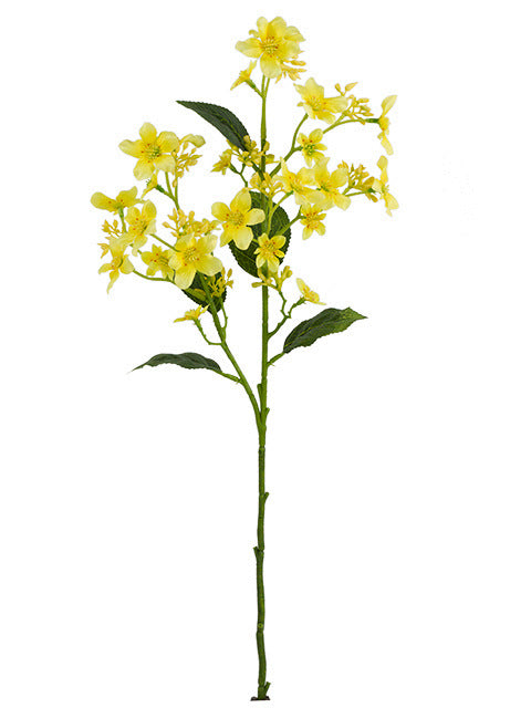 Branches de fleurs de Vernicia Fordii en vrac avec feuilles, plante artificielle en gros