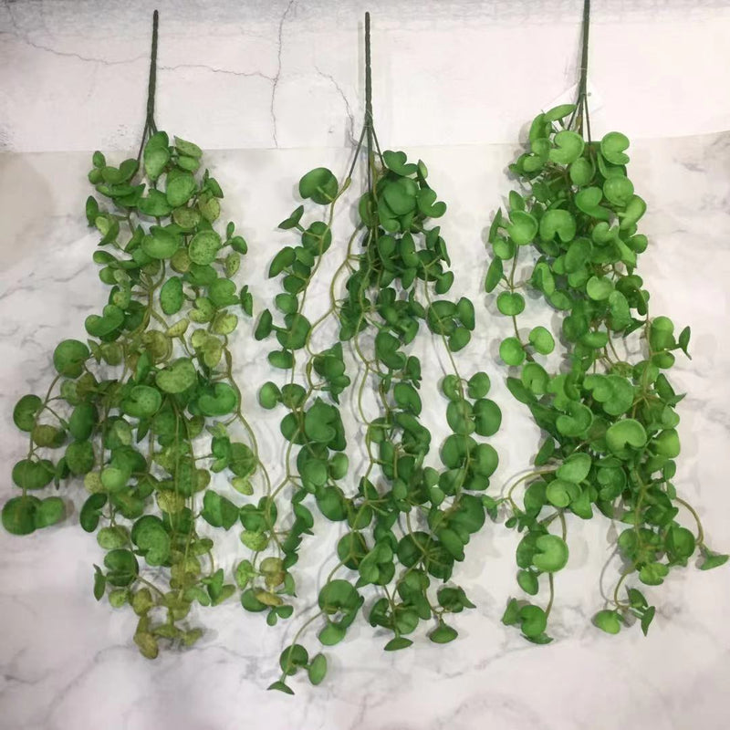 Bulk 23" Pennywort Garland Lucky Hydrocotyle vulgaris Hanging Greenery Plant Wholesale